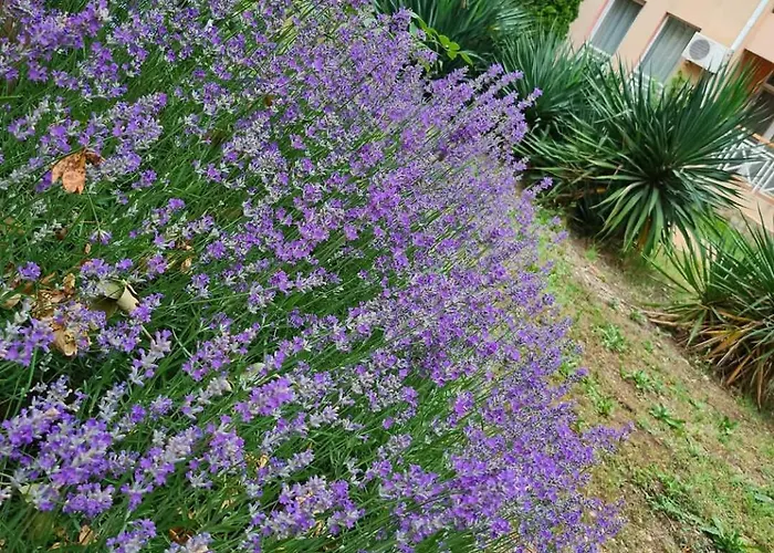 Appartement Double Cherry *