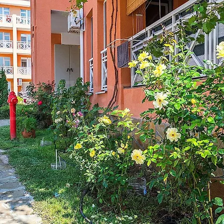 아파트 Double Cherry